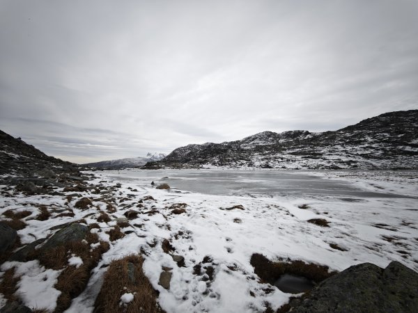 [紐約馬之行-47] 2025_1108 努克環狀步道 4/52951453