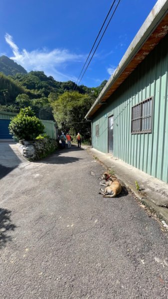 三峽-金敏子山-詩朗山-塞口坑山-內金敏子山四山O型2628676