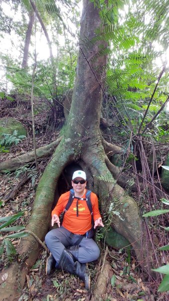 安坑五山縱走2784641