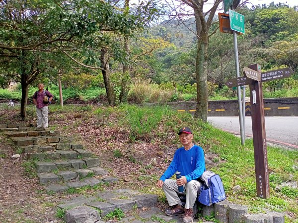 【發現陽明山】頂北投→陽峰古道→陽明山花鐘→陽明書屋→紫明溪步道→竹子湖海芋季2463805