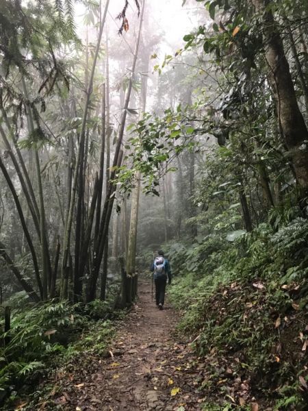 2017/12/8馬那邦山封面
