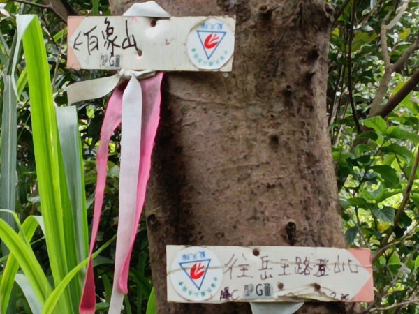 瑞芳區瑞芳四秀(白象山+秀崎山+瑞芳山+龍潭山)2785216