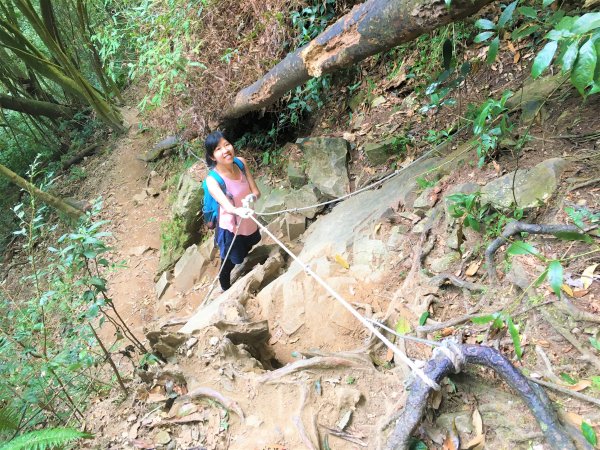 日月潭最高峰_中部四大名山之水社大山1288032