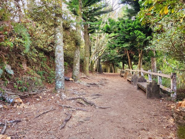 小百岳集起來-馬那邦山2181262