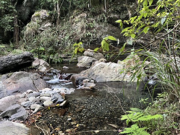 蝶夢八唐搜尋失蹤者 2025.11.252954304