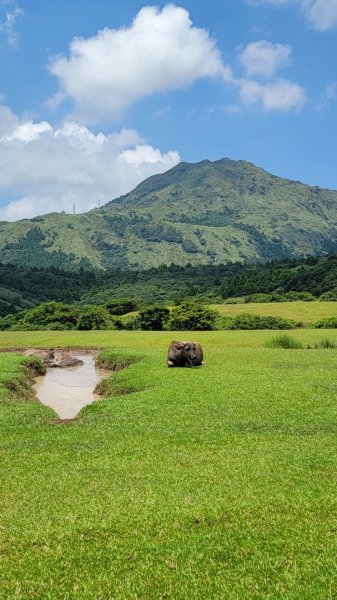 小油坑-風櫃口-20240825封面