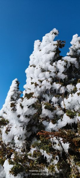 2024雪季攀登（玉山主峰/玉山西峰）2410964