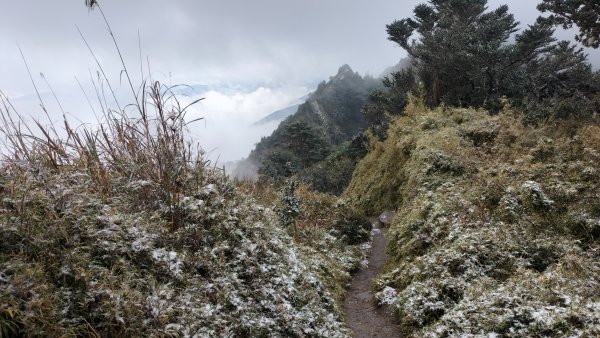 20250127_關山嶺山2706872