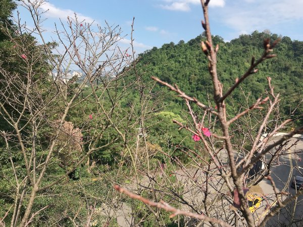 ~ 烘爐地登山步道(南勢角山) ~1626928