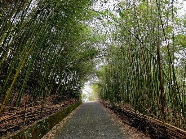 雲嘉大尖山、二尖山步道--(雲林)臺灣百大必訪步道2955777