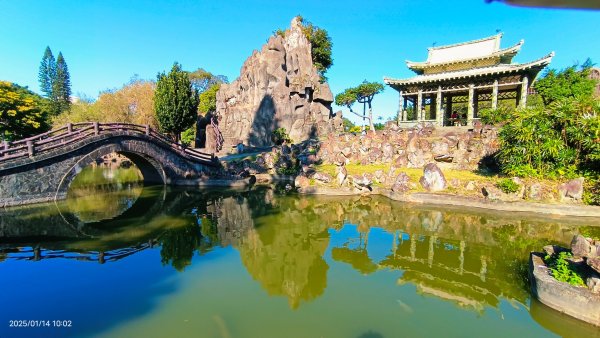 雙溪公園賞花&原住民公園落羽松&故宮1/142689936