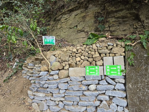 台中大坑9號／9之1／6號／7號O繞3連峰（西平山／平和山／大山母山）2709803