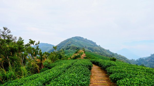 雲嘉五連峰2948652