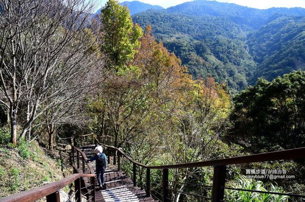 【嘉義】輕鬆遊走里佳--風流洞步道.貢禮之石.賞楓步道O形