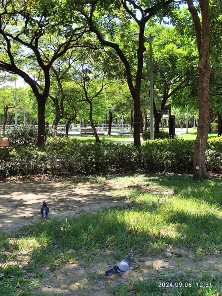 大安森林公園、花博公園圓山園區、基隆 【走路趣尋寶】【臺北健走趣】2589027