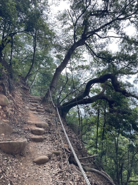 火炎山自然保謢區2769359