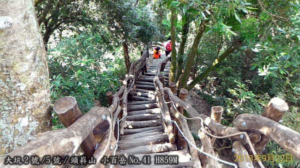 大坑2號/5號二登頭嵙山409090