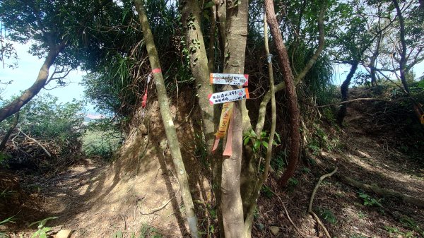 基隆東西天際線縱走(微加強版)2695570