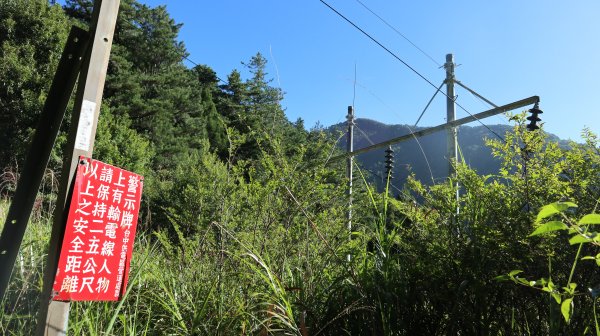 奇萊南華登山健行趣(百岳41號＆75號)1840185