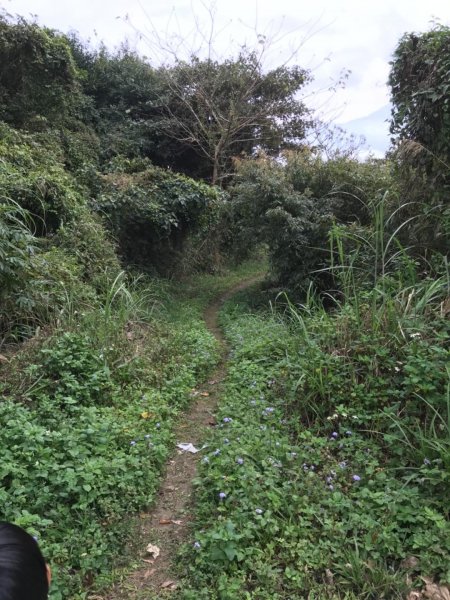 仙山.八仙古道O型走521370