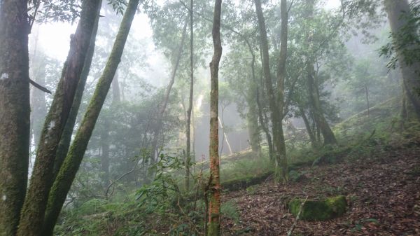 守城大山-2017/08/12177458