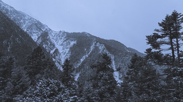 Mt.Jade -玉山冬雪915197