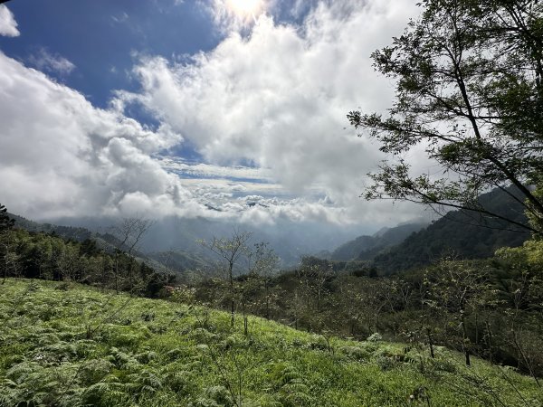 竹崎十三連峰 (阿里山四大天王越野賽路線)1932724