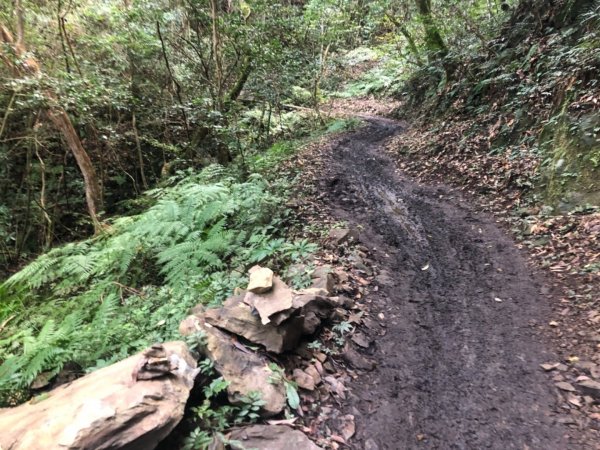 霞喀羅古道 布奴加里山 501930