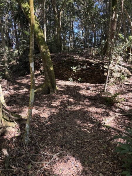 20251116鳴海山、網子山登山步道2938443