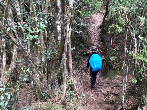 嘎色鬧走那結山1370956