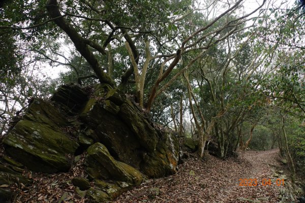 高雄 茂林 真我山2096202