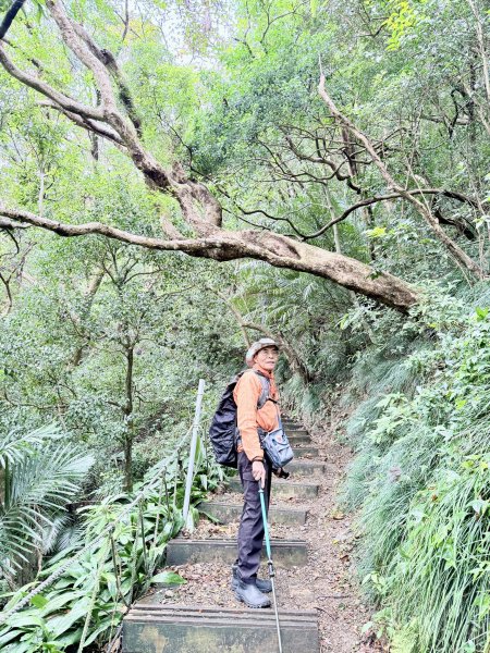 雙流帽子山悠遊  2025.01.032688541