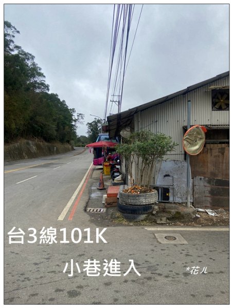 三灣落羽松秘境2676758