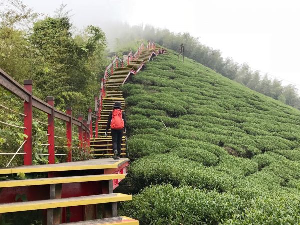雲嘉梨子腳上大尖山封面