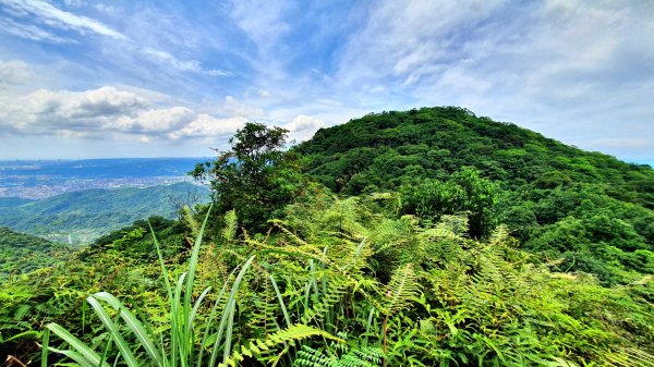 大砲岩，石壇山，大屯溪古道，三板橋，白雞山，雞罩山，石門內尖山，中和外員山，中坑山東北峰1738154