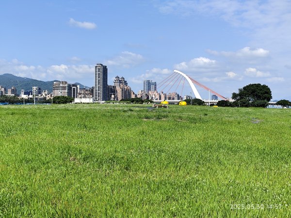 大佳、迎風、觀山河濱公園 (基隆河右岸、左岸)2800089