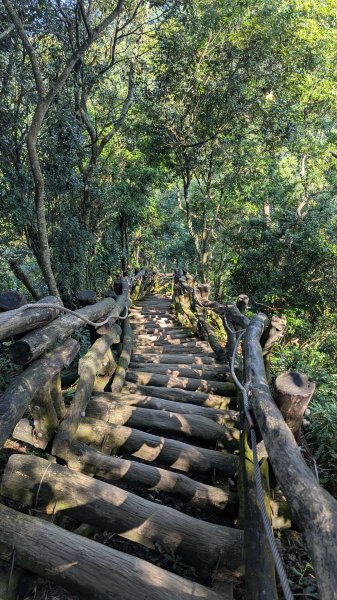 【台灣健行】台中大坑 5-1、5 頭嵙山2874066