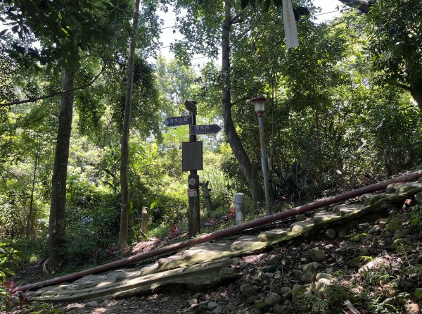 [跟著2025雙北世壯運探索雙北市-7/21] 2025_0615 疾風足球道（輔仁大學－明志路二段2814979