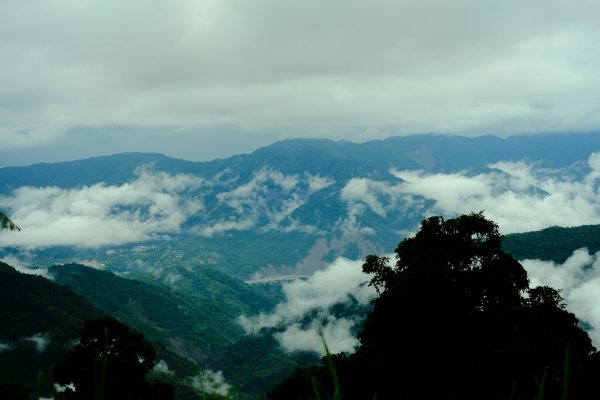 【高雄-小百岳】藤枝山771154