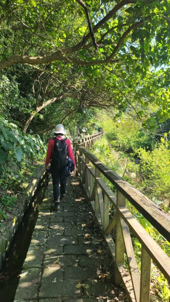 2025-0130溪和宮-大崎頭步道-鵝尾山-平溪步道-鵝尾山水田-42巷-溪山百年古圳-平菁步道2701965