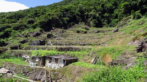 大崎頭步道,坪頂古圳,內雙溪古道,後湖底溪古道2275576