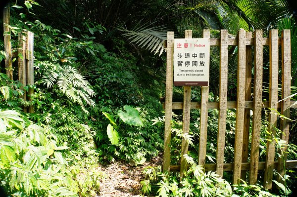 新北 烏來 波露南山3035993