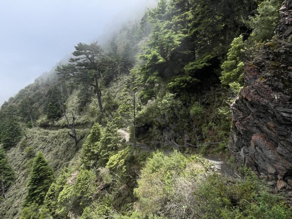 玉山主北 2025 06/07 兩天一夜2866144