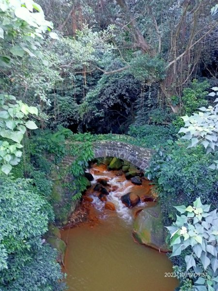 半嶺步道、松溪瀑布、橫嶺古道、湖山綠地【發現陽明山、走路趣尋寶、健康大穀東】2321355