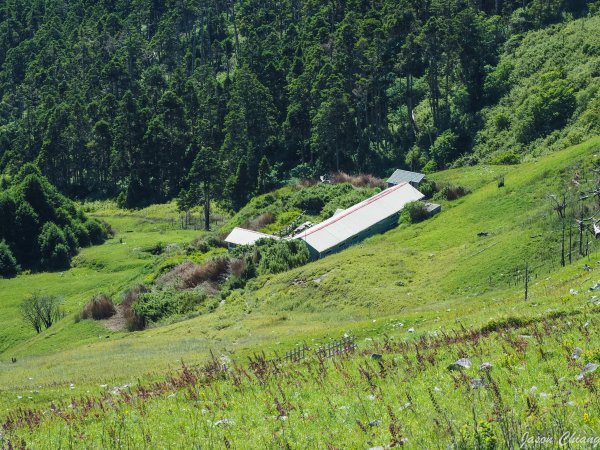 [百岳]雪山主東艷陽下646303