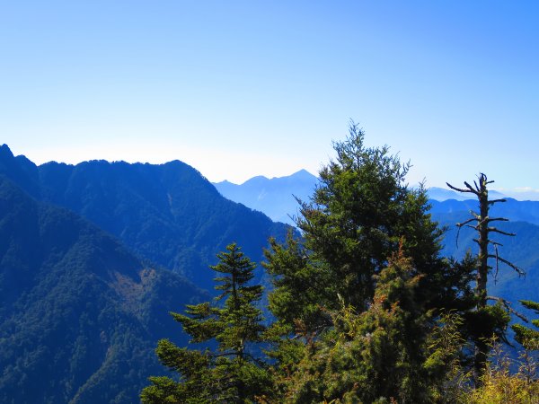 玉山群峰的前哨站-玉山前峰2065011