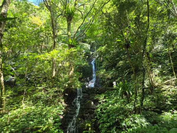 馬武督探索森林、外鳥嘴山2860628