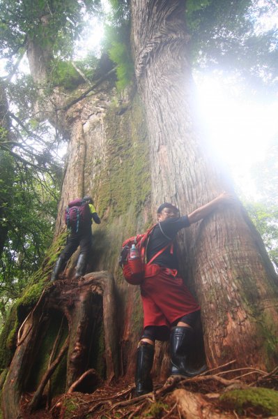 羅(葉尾山)馬(武佐野郡山)縱走816289