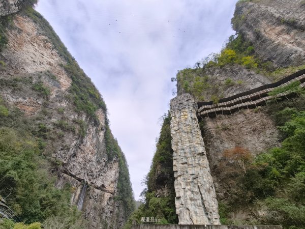 2025/11/11日張家界大峽谷2940997