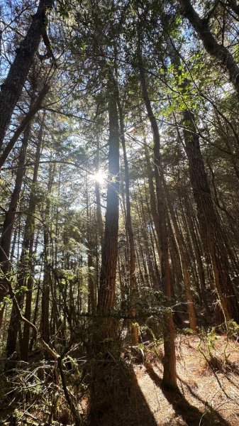 馬武霸下武陵2962375